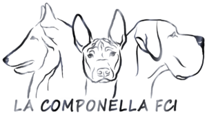 logo la componella srebrne